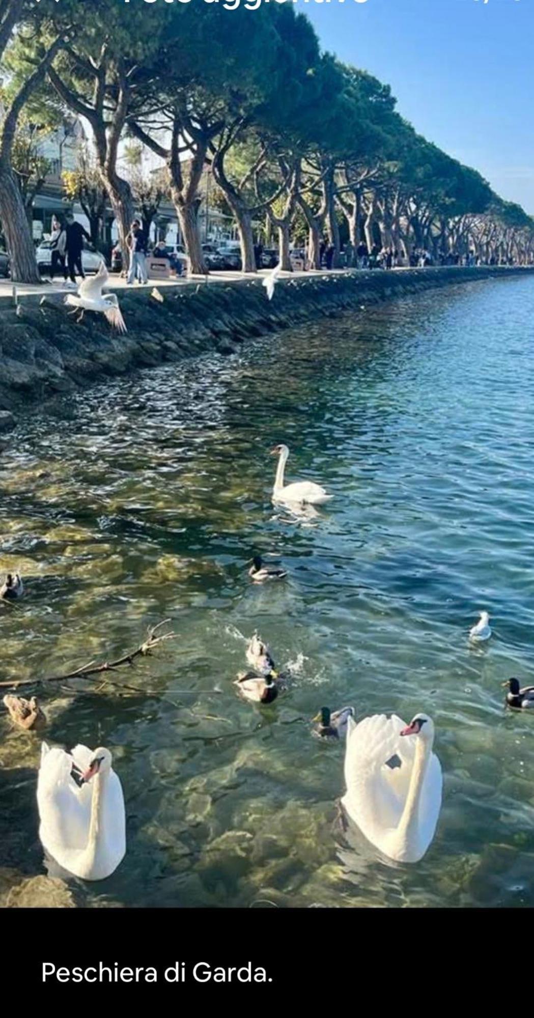 Corte Cavour فاليجيو سول مينشيو المظهر الخارجي الصورة